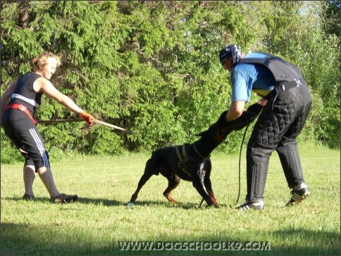 Summer training camp in Estonia 2007